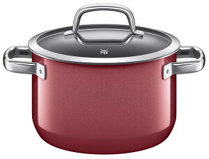 y|Cg20{zsWMFtt[WebN ~l nCLZ[ 20cm 3.9L  [^ ԊO łtɂ Kтɂ тɂ ɂ KX dC IH 