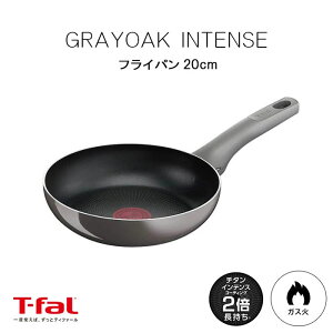 sT-falteBt@[ O[I[NECeX tCp 20cm  Lb`pi тɂ KXΑΉ KXΐp `^ Gi O[ d51702