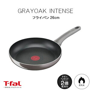 sT-falteBt@[ O[I[NECeX tCp 26cm  Lb`pi тɂ KXΑΉ KXΐp `^ Gi O[ d51705