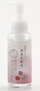 ؁@邨ϐ@100mly^[pbNvXtz