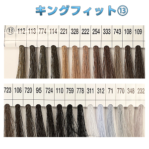 SS|Cg5{!LOtBbg~V 60/3000m  J[Ln tWbNXƖp HƗp 努13@(񂹕i)@([֕s)