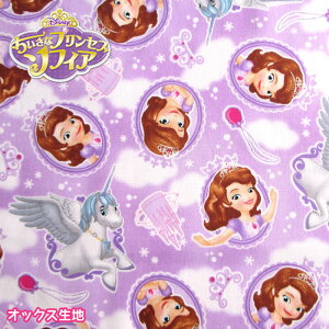 GR1099-1 KOKKA Disney ȃvZX \tBA IbNX n@(10cmP)@([։)