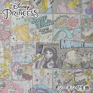 G-9985-1 Disney fBYj[vZX R~bN V[`O n Disney Princess@(10cmP)@([։)