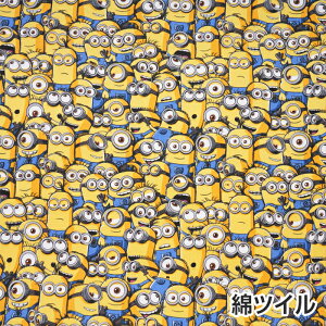 G-40961 KOKKA ~jI W  cC n@(10cmP)@([։)