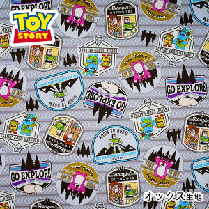 GR-1116-1 KOKKA sNT[ gCXg[[ 4 yLv IbNX n@(10cmP)@([։)