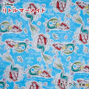 GR-1136-1 KOKKA Disney Princess g}[Ch XPb` IbNX n@(10cmP)@([։)