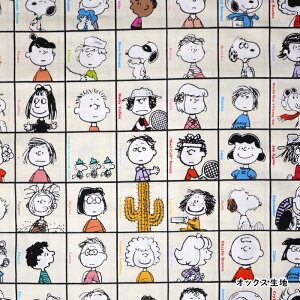 G-3713-1 KOKKA Xk[s[@iq@tYI[X^[ IbNX n@(10cmP)@([։)