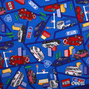 G-6127-1 KOKKA g~J pgJ[/h/~}/| nCEFC IbNX n@(10cmP)@([։)