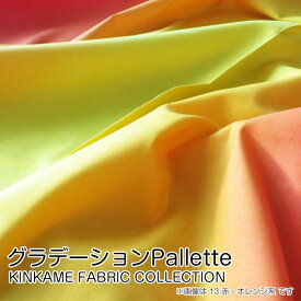 802666 グラデーションPallette COTTON100％ コットンプリント 手芸　生地　布地　(10cm単位)　(メール便可)