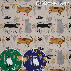 EMP03 emoemo ˂vg ȖLoX n@(10cmP)@([։)