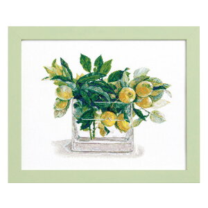 NO_552104 Stitching with Fujico collection @(񂹕i)@([։)@ᑗ