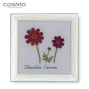 SS|Cg5{!542011 ɏt[t hJLbguؘaq 12̐A蒟V[Y(`R[gRXX)v COSMO }ăvgρ@(񂹕i)@([֕s)