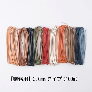 SS|Cg5{!Ɩp 努 {^jJU[R[h2mm(100m) wA[g vЂ v {v Ђ R@(񂹕i)@([֕s)@ᑗ