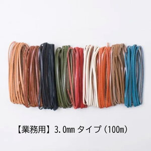 SS|Cg5{!Ɩp 努 {^jJU[R[h3mm(100m) wA[g vЂ v {v Ђ R@(񂹕i)@([֕s)@ᑗ