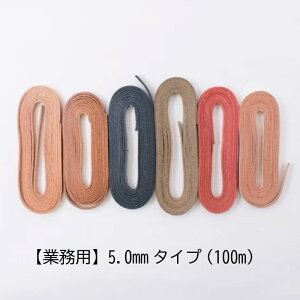 SS|Cg5{!Ɩp 努 {^jJU[R[h5mm(100m) wA[g vЂ v {v Ђ R@(񂹕i)@([֕s)@ᑗ