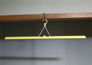 [s ݂⒉q ] ̃nK[(2) nK[ anK[@([֕s)