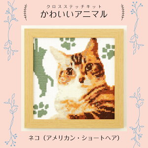 7549 킢Aj}@lR(AJEV[gwA)@NXXeb`Lbg@hイ@(񂹕i)@([֕s)