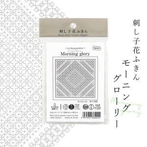 H-1109 ԂӂzpbN@Morning glory()@([։)