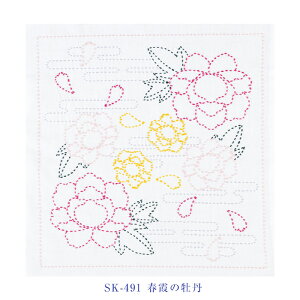 SK-491 IpXut̉OvhqԂӂLbg@([։)