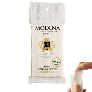 303109 �S�y���f�i�u�z���C�g �������v(250g) �����S�y�@(���񂹕i)�@(���[���։�)