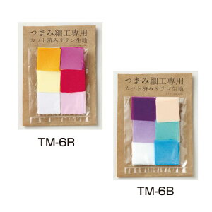 ܂ݍ׍Hp Jbgς݃Ten A\[gZbg(2.5×2.5cm) 6Fe10@(񂹕i)@([։)