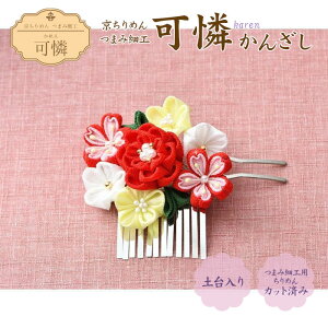 LH-456 |Lbg  񂴂 ߂ ܂ݍ׍H Lbg  ܂݂ c}~׍H ܂ݍ׍HLbg  JUV ܎O ꒅ ANZT[@(񂹕i)@([։)