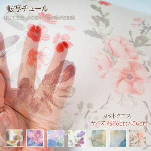 ]ʃ`[ JbgNX 66cm×50cm obO |[`@(񂹕i)@([֕s)