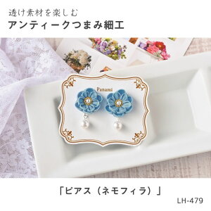 LH-479 fނy AeB[N܂ݍ׍H sAX(ltB)@(񂹕i)@([։)