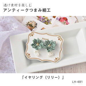 LH-481 fނy AeB[N܂ݍ׍H CO ([)@(񂹕i)@([։)