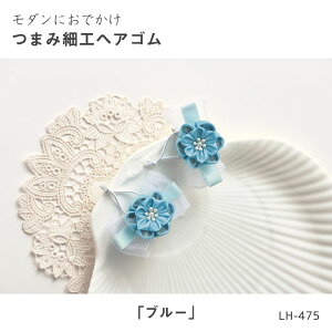 LH-475 _ɂł܂ݍ׍HwAS(u[)@(񂹕i)@([։)