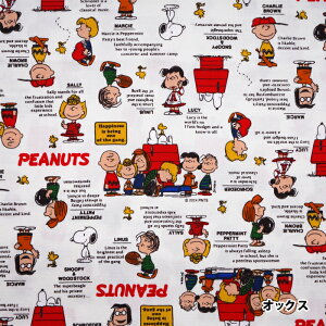 823528 PEANUTS Xk[s[ 75N LO NVbN  IbNX n@(10cmP)@([։)