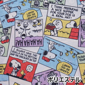 827366 PEANUTS@Xk[s[@VbNR~bN@|GXe@n@@TRbR@(10cmP)@([։)