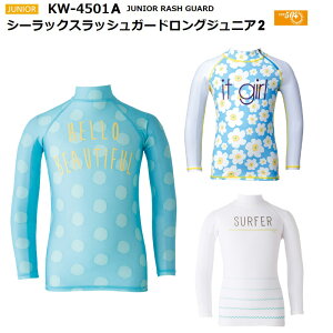 yN[|L/][zzKW-4501A AQAV[bNXbVK[hOWjA2 qp [jp] CVуVm[PĂ̓Ăh~TVc