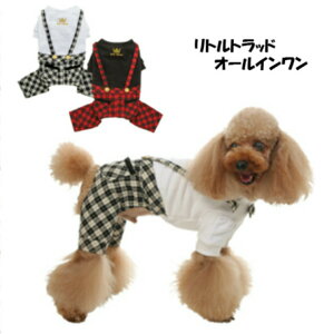 _z^ps[ ^  Ȃ ggbhI[C SS cannana Jo[I[ p[X