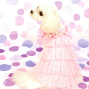  ԕ`[L~&lbNX tt`[s[X cannana   EFfBO hX p[eB[hX hbOEFA L