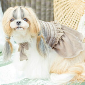 ^  V[OhJ L~ s[X J[L M cannana hbOEFA LER