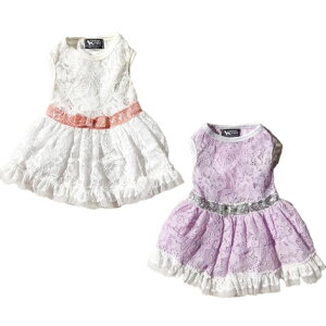 ^  [X{xgs[X XS S M L XL@hbNEFA