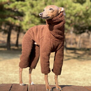 C^O  IG {Ap[X S M L XL 2XL 3XL I[C Ȃ C^AEOCnEh fJs fJO EBybg xhgeA hbOEFA  