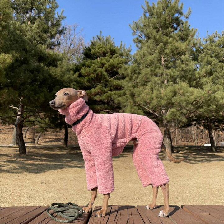 イタグレ服 なりきりトラさんロンパース ピンク