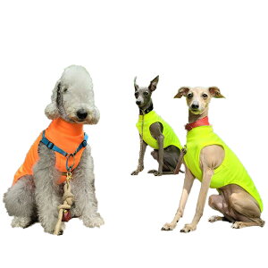 C^O   IG N[xXg TVc COOL Tee C^AEOCnEh fJO ׃hgeA EBybg hbOEFA  