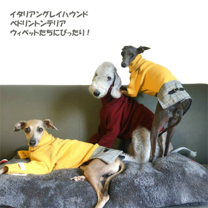 楽天市場】イタグレ 服 IGハイネックグレンチェックワンピース S M L 