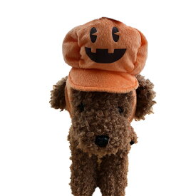 小型犬 中型犬 ハロウィン帽子 パンプキンキャスケット LL 変身帽子 ハロウィン コスチューム かぶりもの ドッググッズ 仮装パーティーや記念写真の撮影に