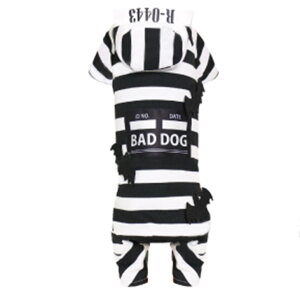 ^  vYobg} ps[ ^ 1 4 nEB p[X RX`[ Ȃ I[C hbOEFA