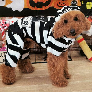  nEB RX`[ obhhbOvYi[ p[X ^ RXv Ȃ I[C hbOEFA Č q qp e ^  c L  XX Mtg v