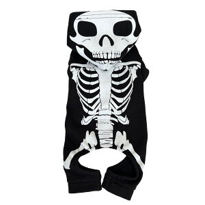  zlzlbN I[C t[fB[ XJ  p[X ps[ ^ XS S [EFA  Ȃ