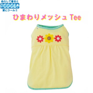 _z^ Ђ bVTee N[H Ђ܂MU[bVs[X ps[ ^ 1 TVc hbOEFA