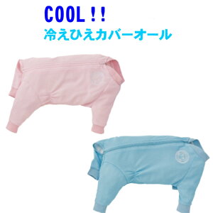  ^ Ђ ĕ ₦ЂJo[I[ wJ^Cv POMP BEAR 2 3 5 N[H I[C p[X  pW}