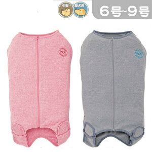 ^ pEFA p㕞 pJo[I[ 6 LYJo[z[EGA [EFA@ی앞