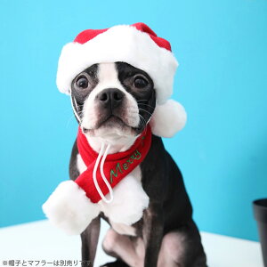  L NX}X T^Xq S M L XL ^ ^ ^ puppia