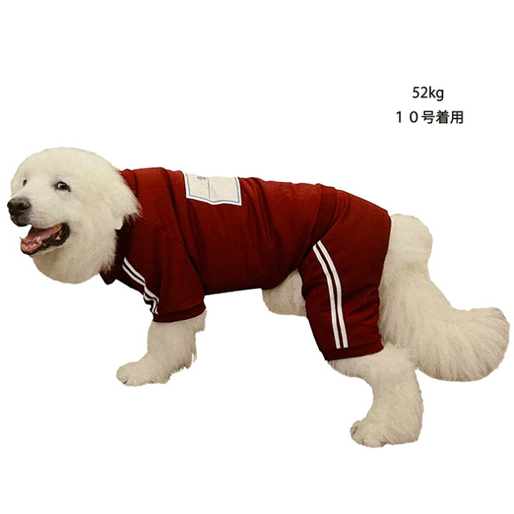 楽天市場】犬服 ジャージ IG体育ジャージ イタグレ 服 つなぎ おもしろ 